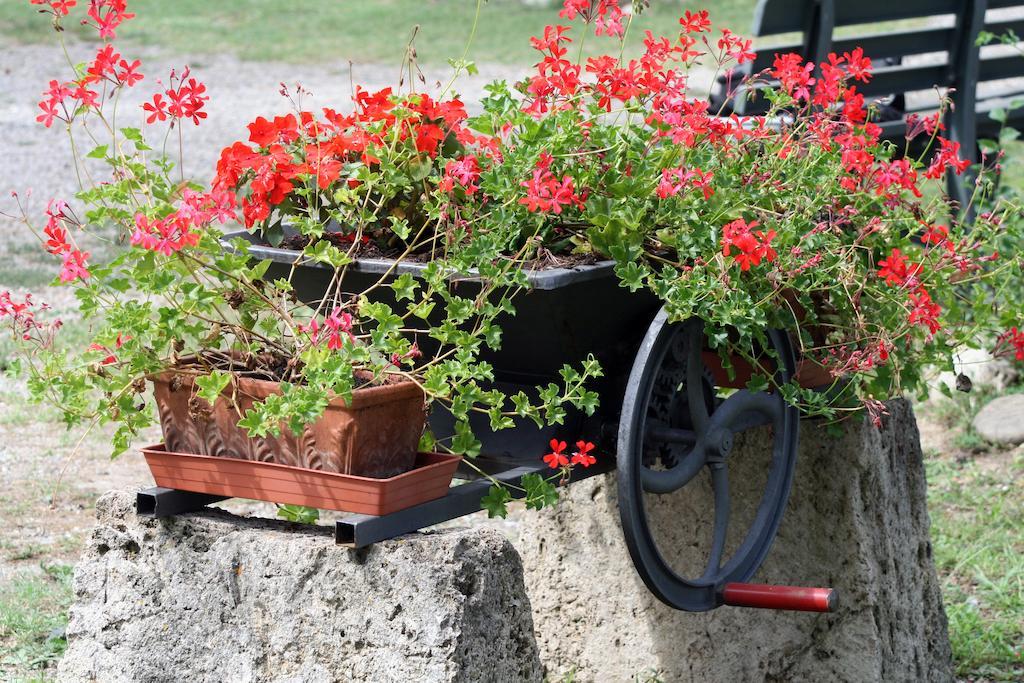 Agriturismo Due Ponti Chianni Εξωτερικό φωτογραφία